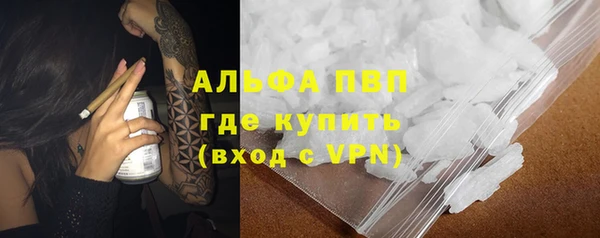 дурь Няндома