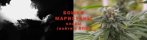 дживик Нягань