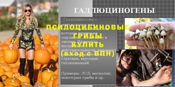 дурь Няндома