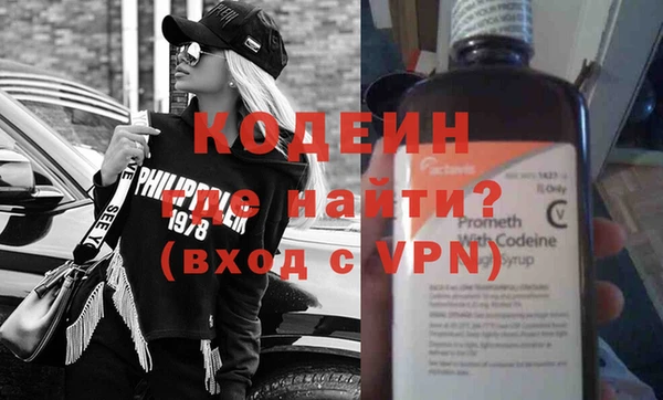 дурь Няндома