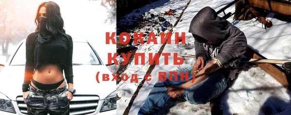 дурь Няндома