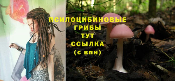 дживик Нягань