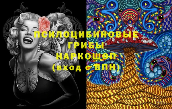 дживик Нягань