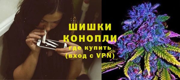 дурь Няндома