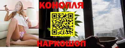 кокс Гай