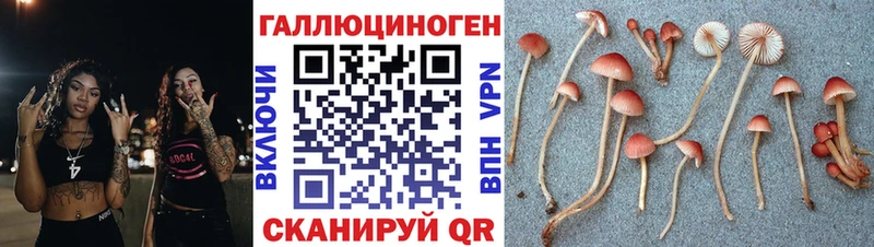 Псилоцибиновые грибы Magic Shrooms  Кыштым 