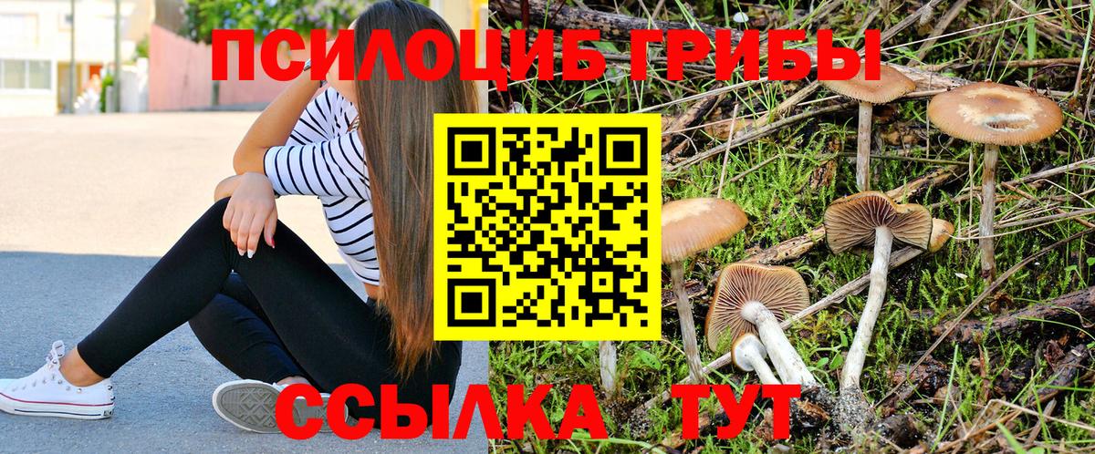 Галлюциногенные грибы GOLDEN TEACHER  Вход с VPN  Кыштым 
