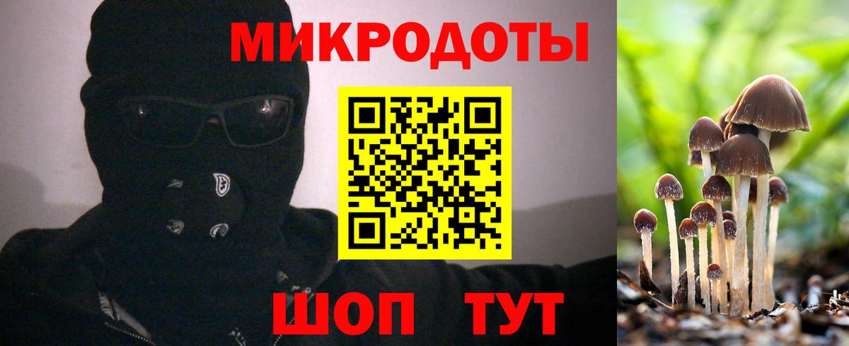 МЕТ  ГАШ  MDMA  Бошки Шишки  Кыштым  Cocaine  МЕФ кристаллы  ТГК  Купить наркотики  Гашиш  МЕФ кристаллы  Alpha-PVP СОЛЬ кристаллы 