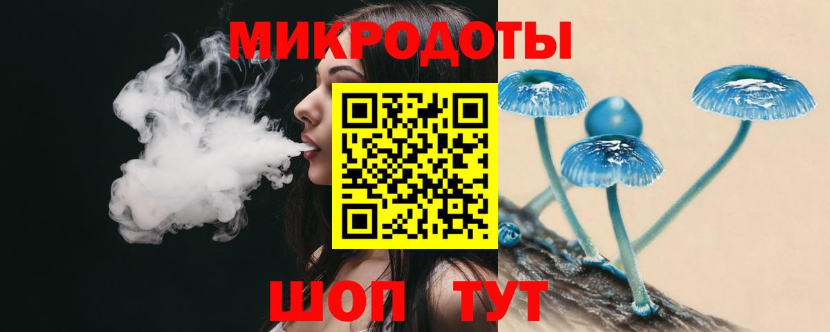 Псилоцибиновые грибы мицелий Кыштым