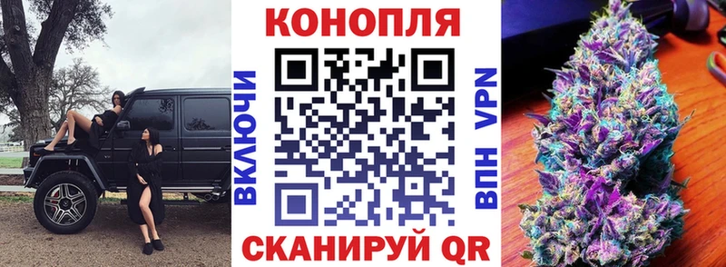 где купить   Кыштым  это наркотические препараты  Марихуана сатива 